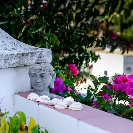 Casa Diana Nerja